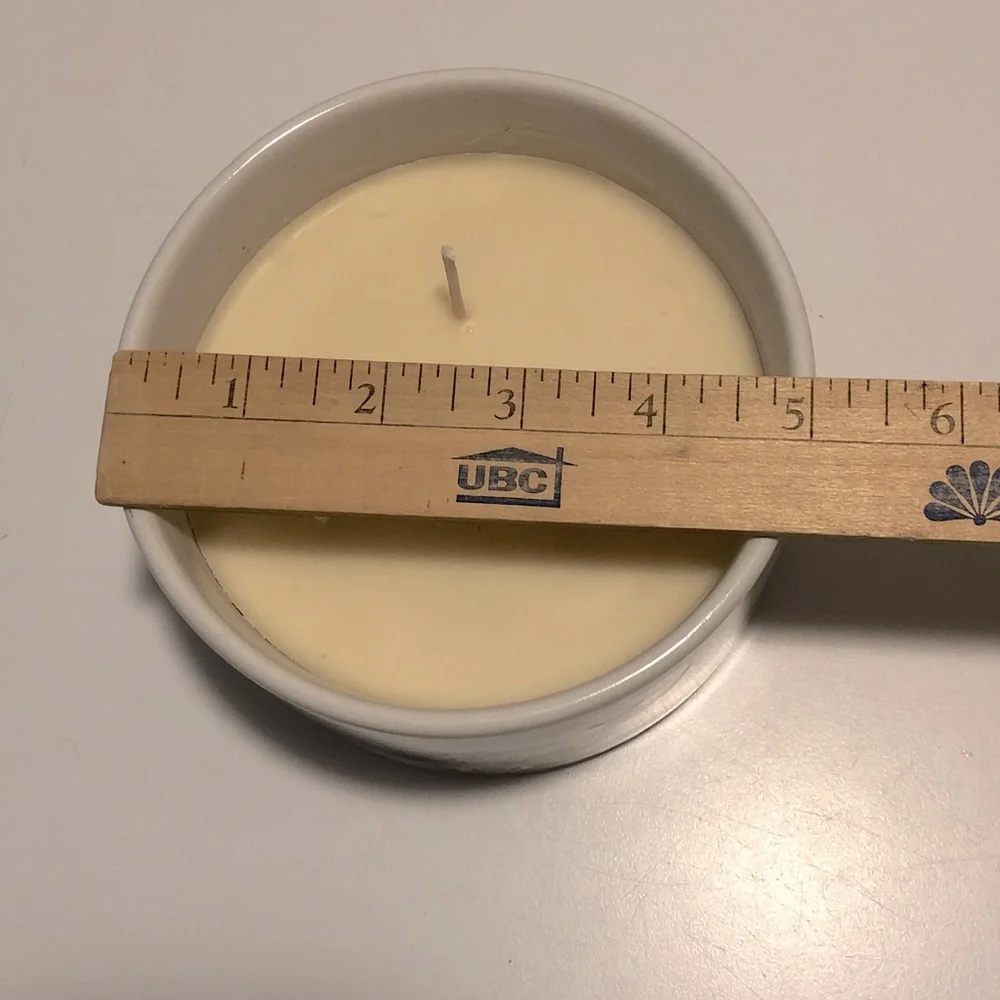 Pavilion Gift Co. Highland Cow Wax Reveal 3-Wick 10 oz Soy Candle